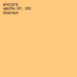 #FEC97D - Rob Roy Color Image